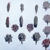 bomen 1