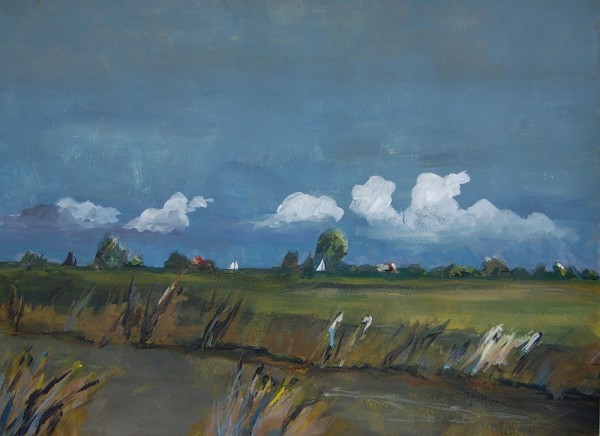 Fries landschap