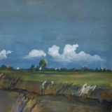 Fries landschap