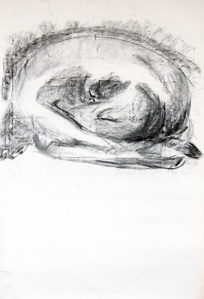 Roger (2)