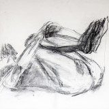 Roger (3)