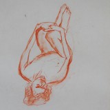 Roger (11)