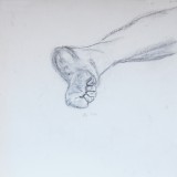 Georgette (4)