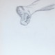Georgette (4)