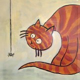Poes en spinnetje