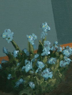 detail: vergeet-mij-nietje