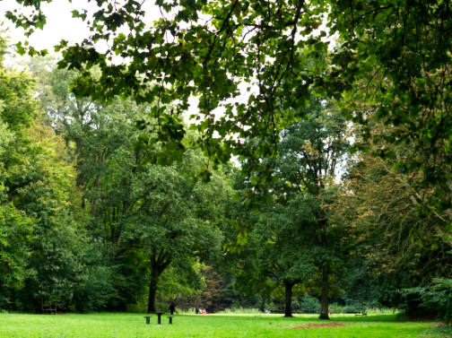 Tai Chi in de bergen